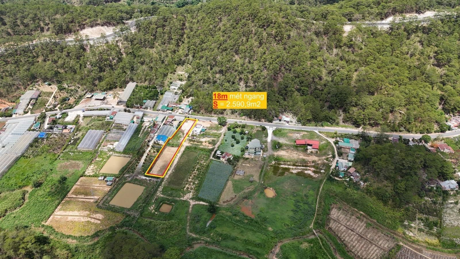 Cần bán đất mặt tiền đèo Mimosa