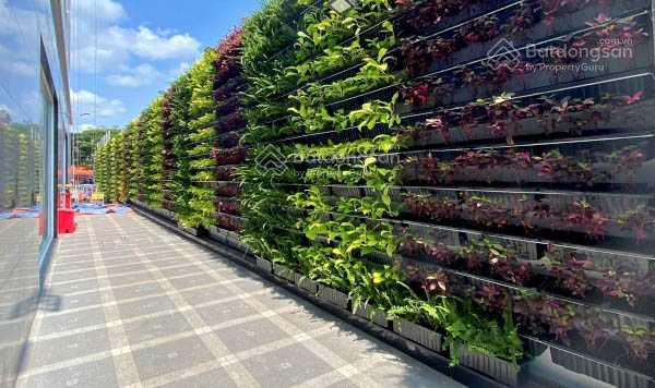 Cho thuê văn phòng Victory đường Nguyễn Oanh, Gò Vấp. Văn phòng hạng A giá rẻ