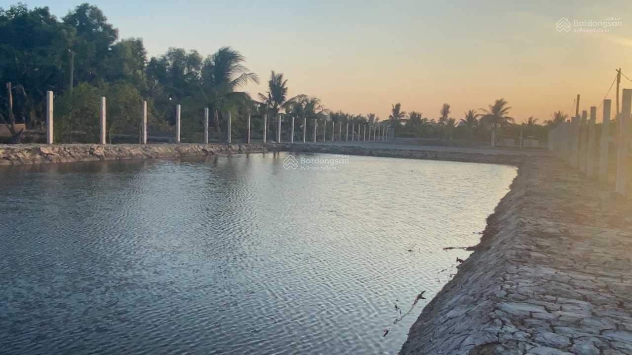 Chính chủ bán đất thổ cư mặt tiền kênh Bà Tỵ lộ giới 30m Tân Nhựt, Bình Chánh DT 3,536 m2