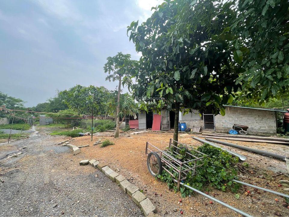 Chính chủ cần bán lô đất trang trại 2100m2 gần Vinhomes Hạ Long Xanh, khu Cầu Trắng, Đại Yên