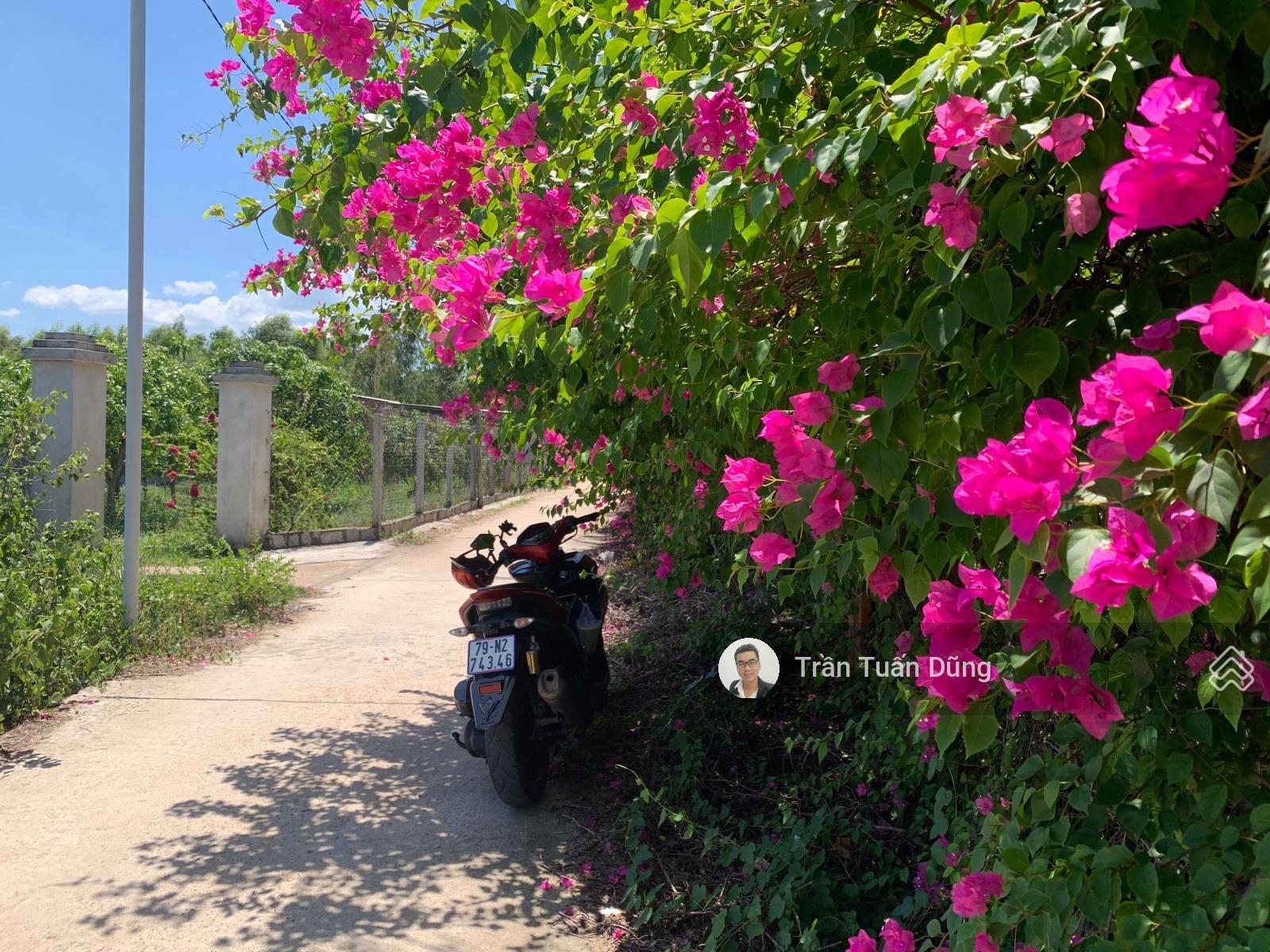 Bán gấp lô đất khu dân cư tuyệt ảo vườn hoa