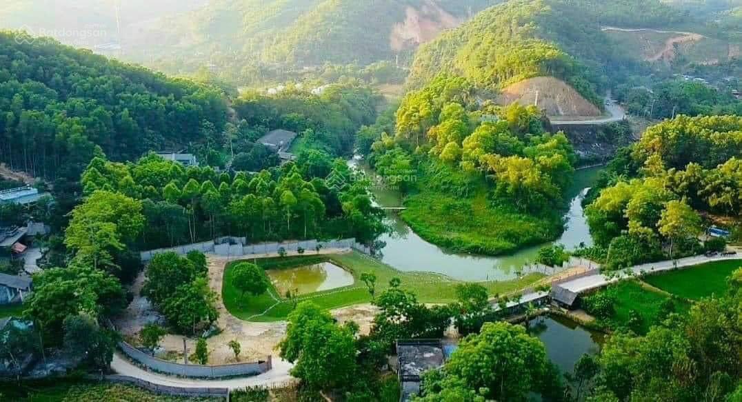 Cần bán khu sinh thái rộng 20.000m2. View sông Cu Đê Hòa bắc trãi dài 200m