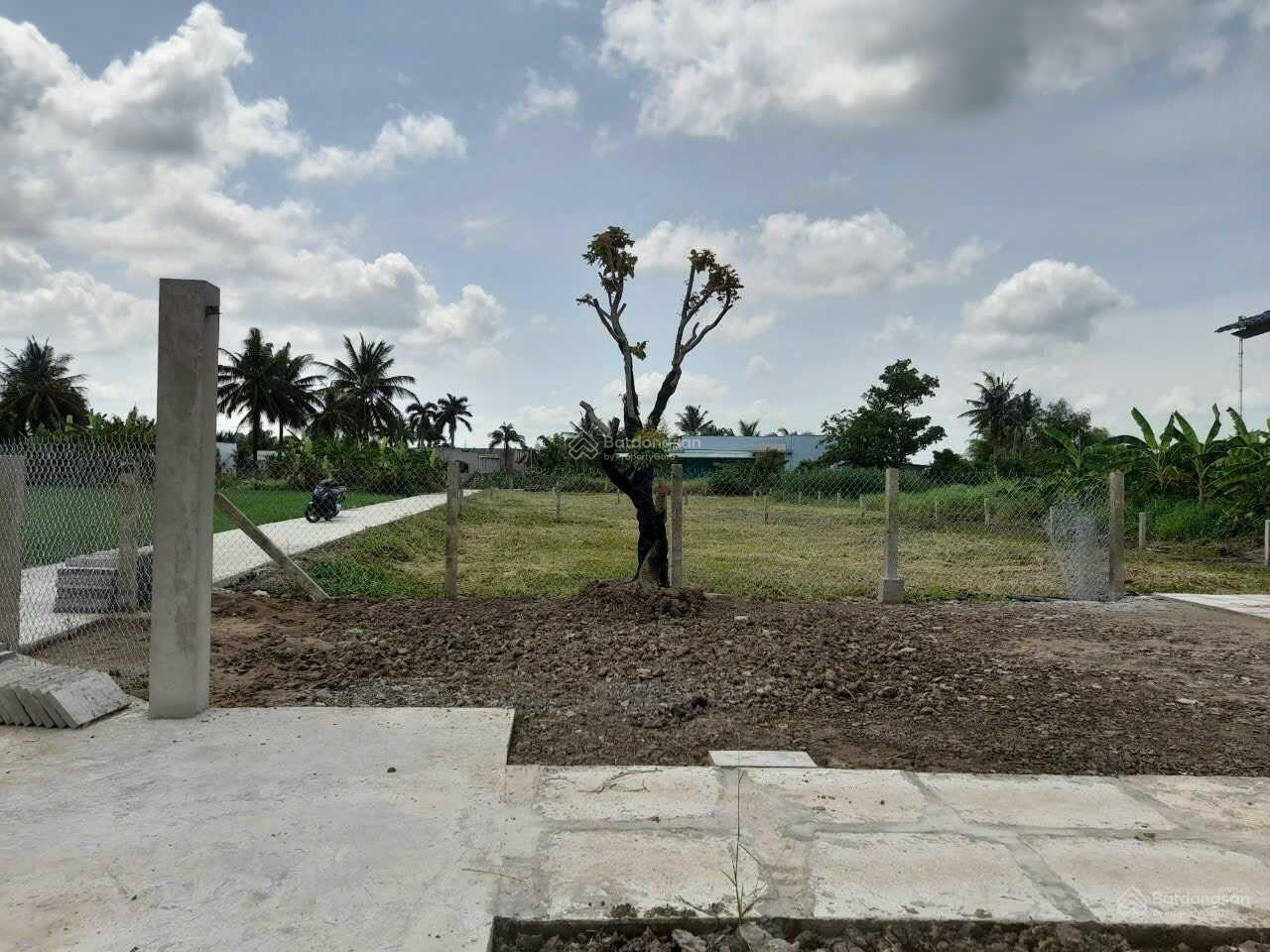 Chính chủ cần bán đất ở diện tích 500m2, xã Quê Mỹ Thạnh, huyện Tân Trụ, tỉnh Long An