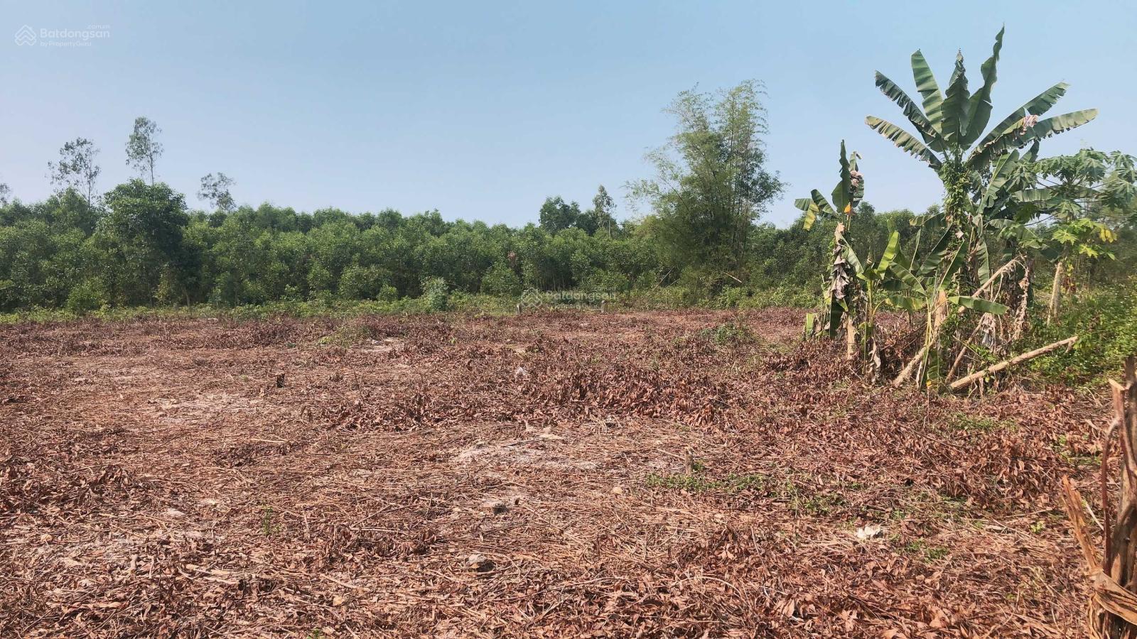 Cần bán 2652m2 đất vườn thuộc xã Quế Mỹ, Quế Sơn, Quảng Nam, giá đầu tư chỉ 1.09 tỷ