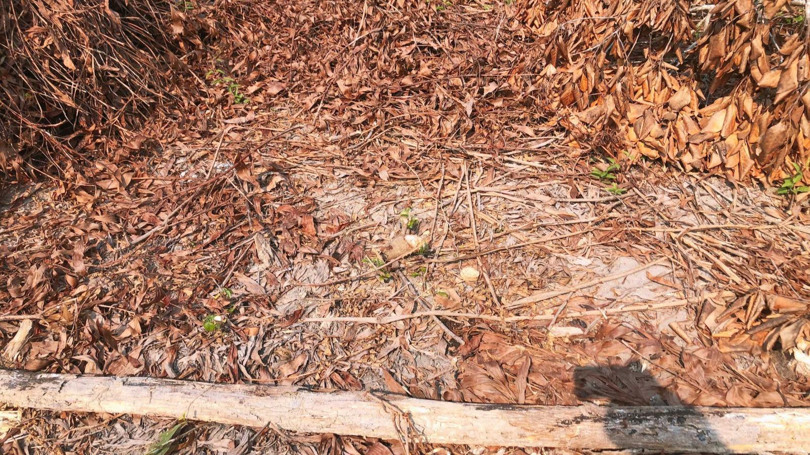 Cần bán 2652m2 đất vườn thuộc xã Quế Mỹ, Quế Sơn, Quảng Nam, giá đầu tư chỉ 1.09 tỷ