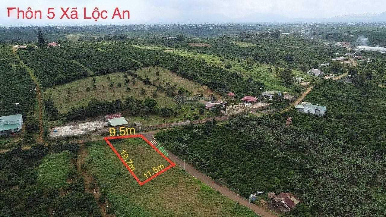 Cần tiền cho con đi học, bán gấp lô đất 2 mặt tiền 181,2 m2 xã Lộc An, Bảo Lâm, Lâm Đồng