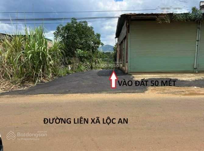 Bán đất thổ cư tại xã Lộc An, huyện Bảo Lâm Bán đất thổ cư tại xã Lộc An, huyện Bảo Lâm