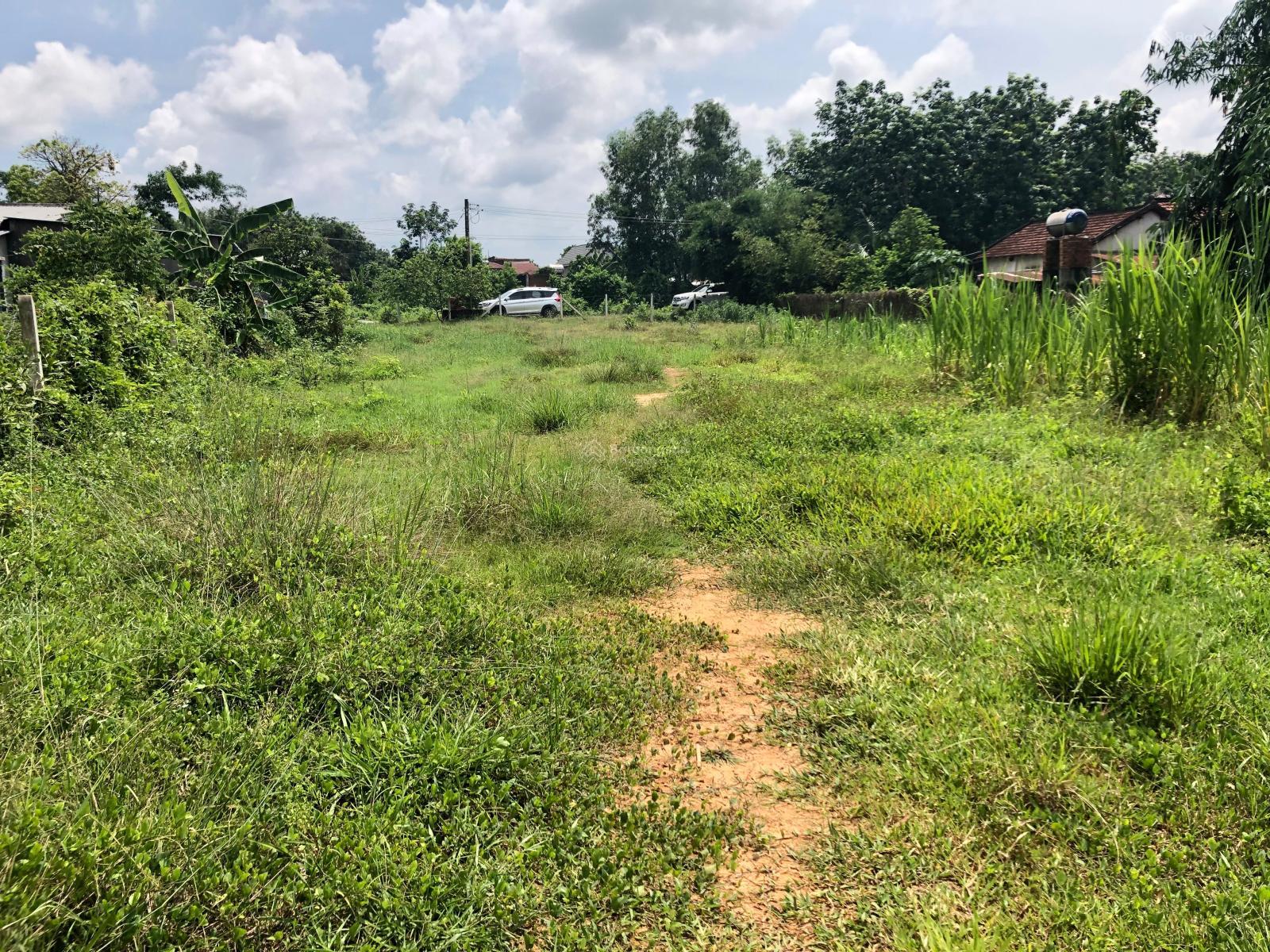 Bán đất thổ cư 24x100m Sông Lô, Hưng Thuận, Trảng Bàng, Tây Ninh