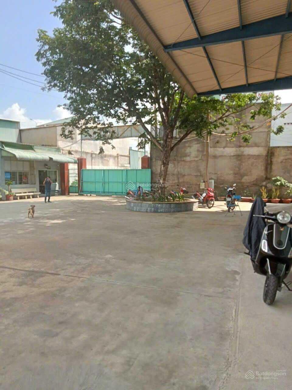 Tổng DT 3.600m2 (kho 2.000m2) - 150 triệu/th - đg QL1a- Võ Trần Chí (cont40f) - có PCCC thẩm duyệt