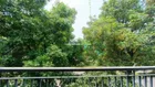 Bán biệt thự thương mại Marina 241,5m2, 4 tầng, có thang máy, kinh doanh đông khách nhất Ecopark