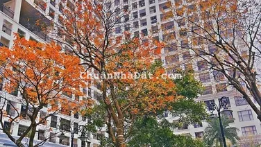 Bán 1 ngủ giá 3.8tỷ DT 50m2 phố Minh Khai Sunshine Garden (cạnh Time City) E. Minh Anh 0944 394 ***