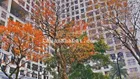 Bán 1 ngủ giá 3.8tỷ DT 50m2 phố Minh Khai Sunshine Garden (cạnh Time City) E. Minh Anh 0944 394 ***