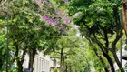 Bán nhà mặt phố Phạm Ngũ Lão 30m2, MT hơn 4m, 6 tầng đẹp đi bộ ra nhà hát lớn 26,5tỷ