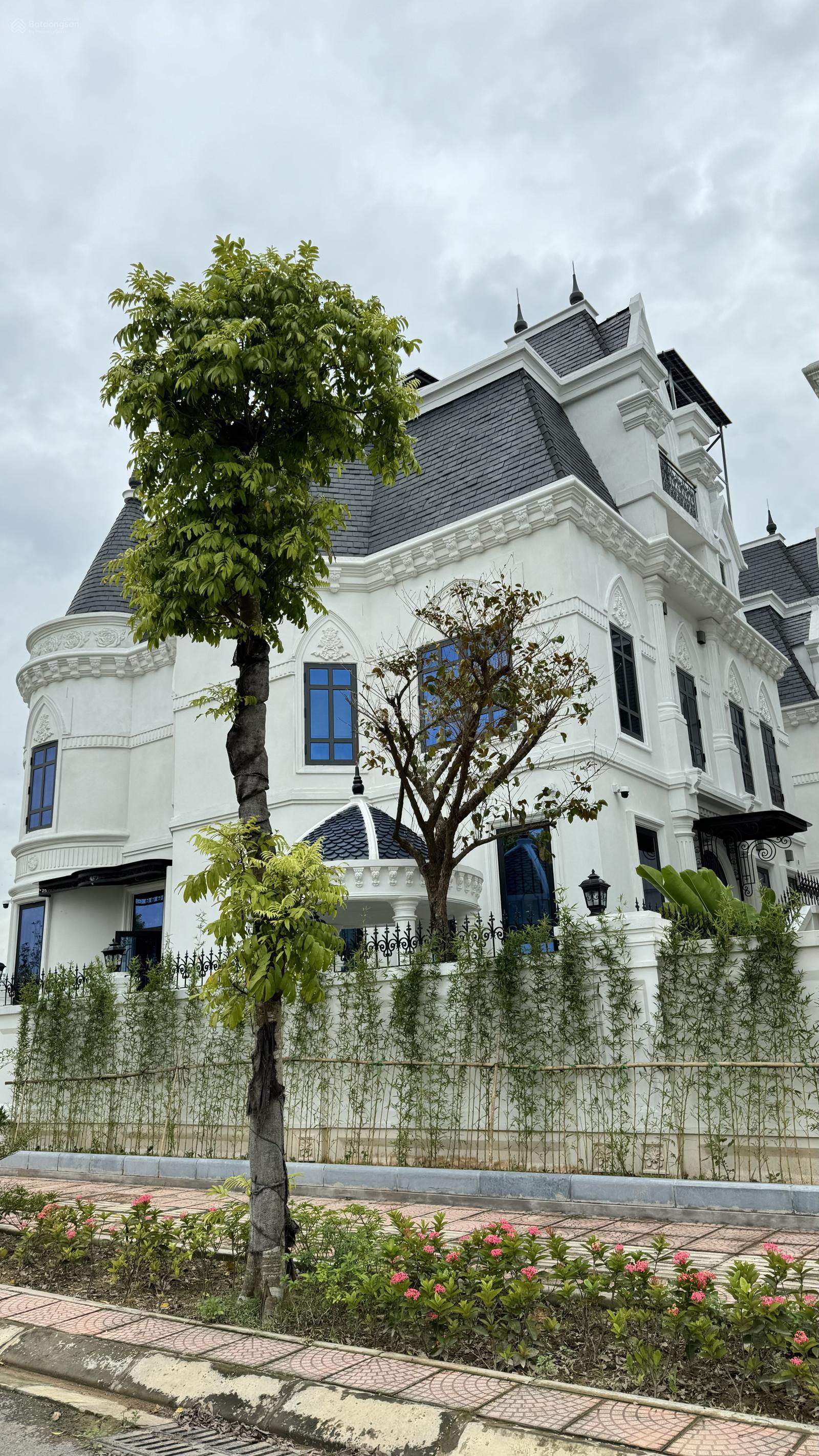 Biệt thự lâu đài 180m2, 5 tầng có hầm, sát Học viện Tài Chính. Đường 25m, vừa ở vừa KD sầm uất