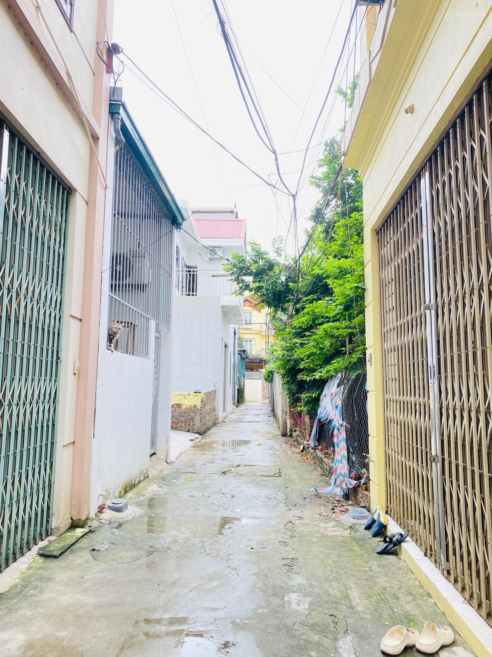 Chính chủ bán lô đất 82,7m2 tại xóm 4 Hải Bối, Đông Anh Chính chủ bán lô đất 82,7m2 tại xóm 4 Hải Bối, Đông Anh