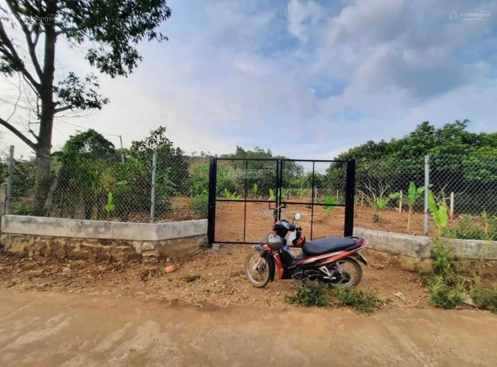 2 cô chú muốn bán mảnh vườn 4500m2 trái cây view hồ Dầu Tiếng đẹp nhất ĐNB giá diện tích 100%
