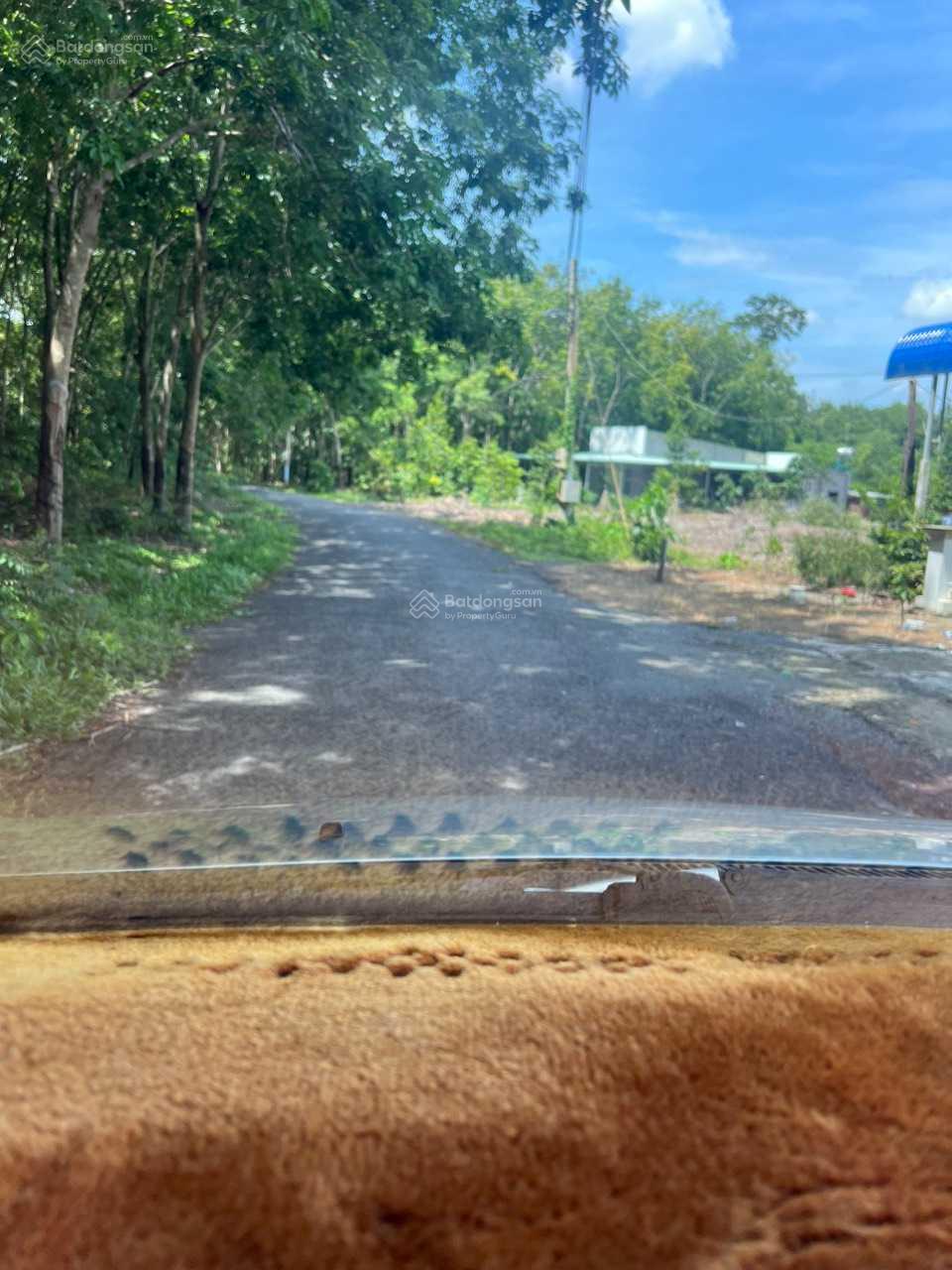 Tôi kẹt tiền ngân hàng cần bán gấp đất thị trấn Dầu Tiếng Bình Dương(10*46m)có sẵn thổ cư 100%