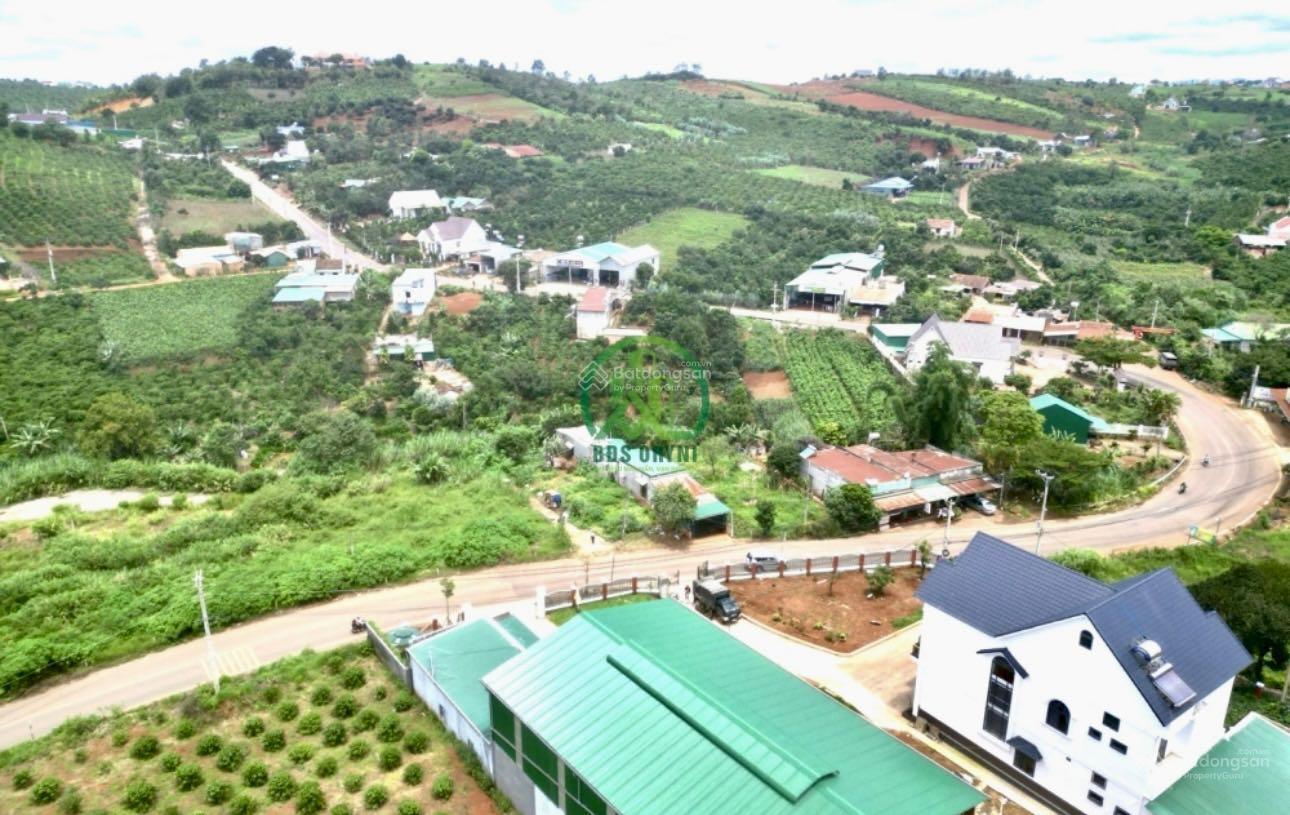 Cần bán đất gần chùa Linh Ẩn - Nam Ban - Lâm Đồng - có hoa hồng cho ACE bán giúp