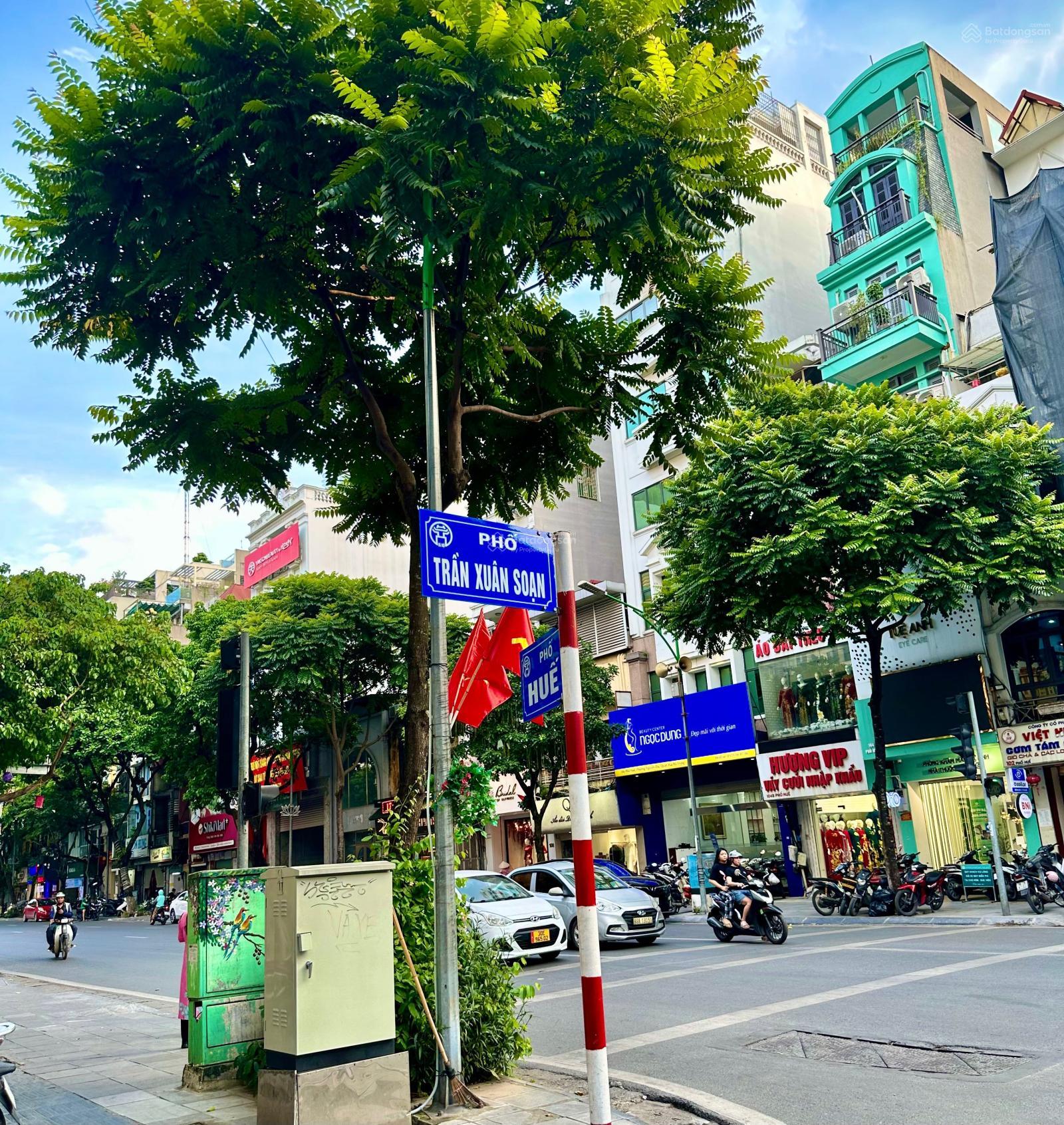 Cần bán nhà mặt phố Trần Xuân Soạn, Hai Bà Trưng. DT 200m2 x MT 8m. Vị trí rất đẹp, gần sát Phố Huế