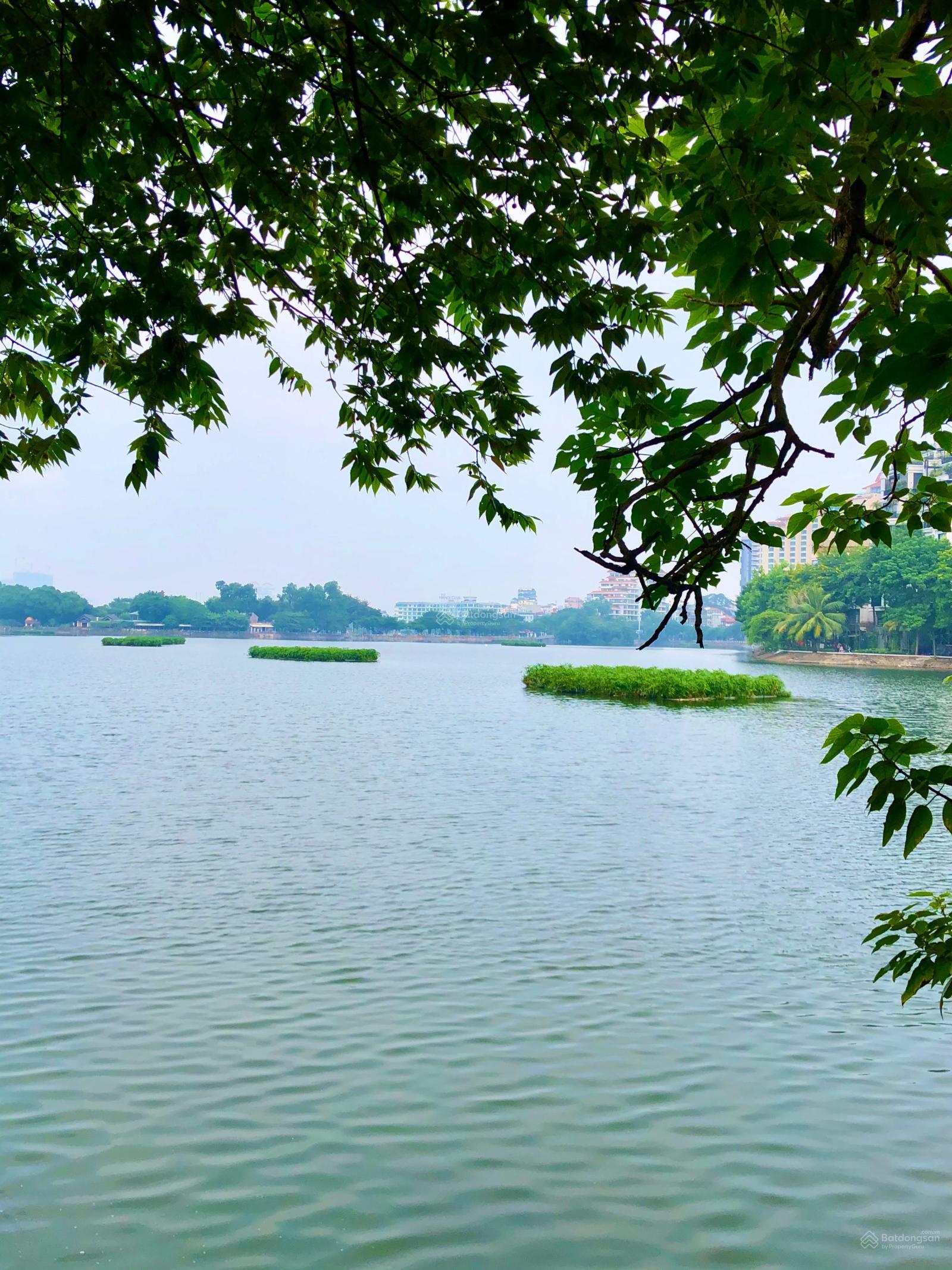 Cần Bán Nhà Mặt Phố Trấn Vũ, Ba Đình. DT 120m2 x 8T, MT 6,5m. Vị trí đoạn đẹp nhất phố, KD sầm uất