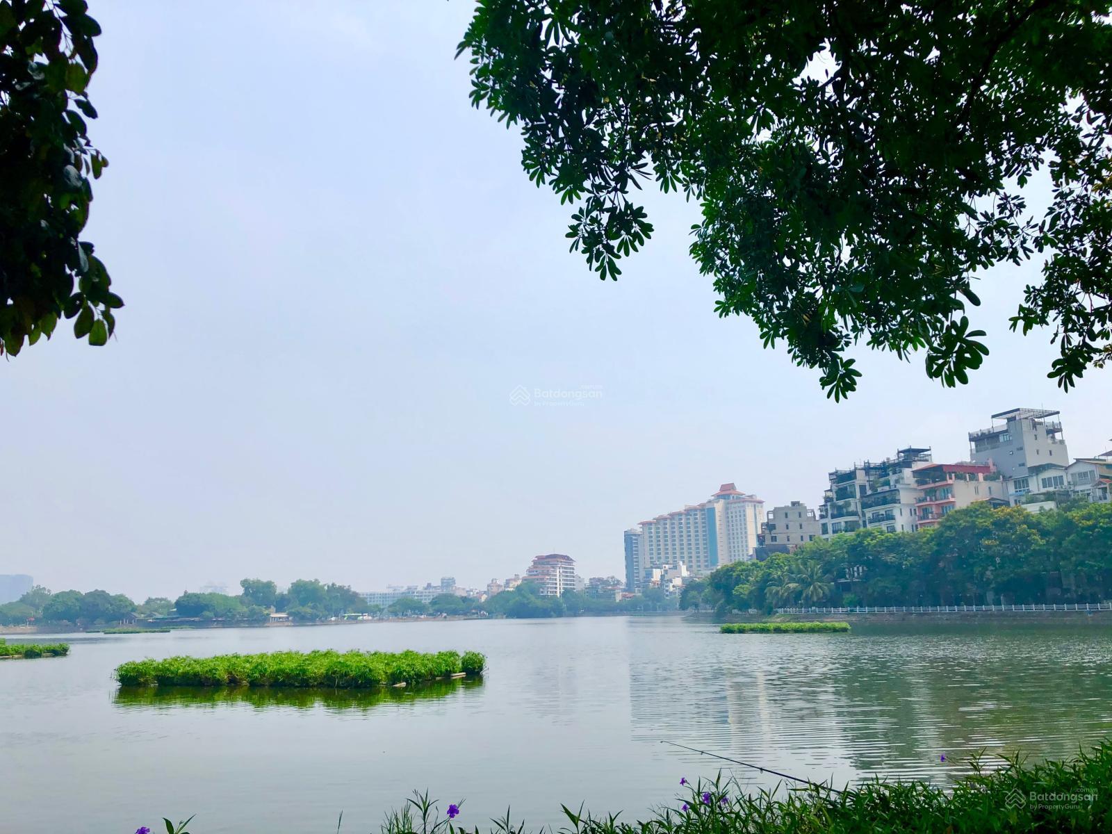 Cần Bán Nhà Mặt Phố Trấn Vũ, Ba Đình. DT 120m2 x 8T, MT 6,5m. Vị trí đoạn đẹp nhất phố, KD sầm uất