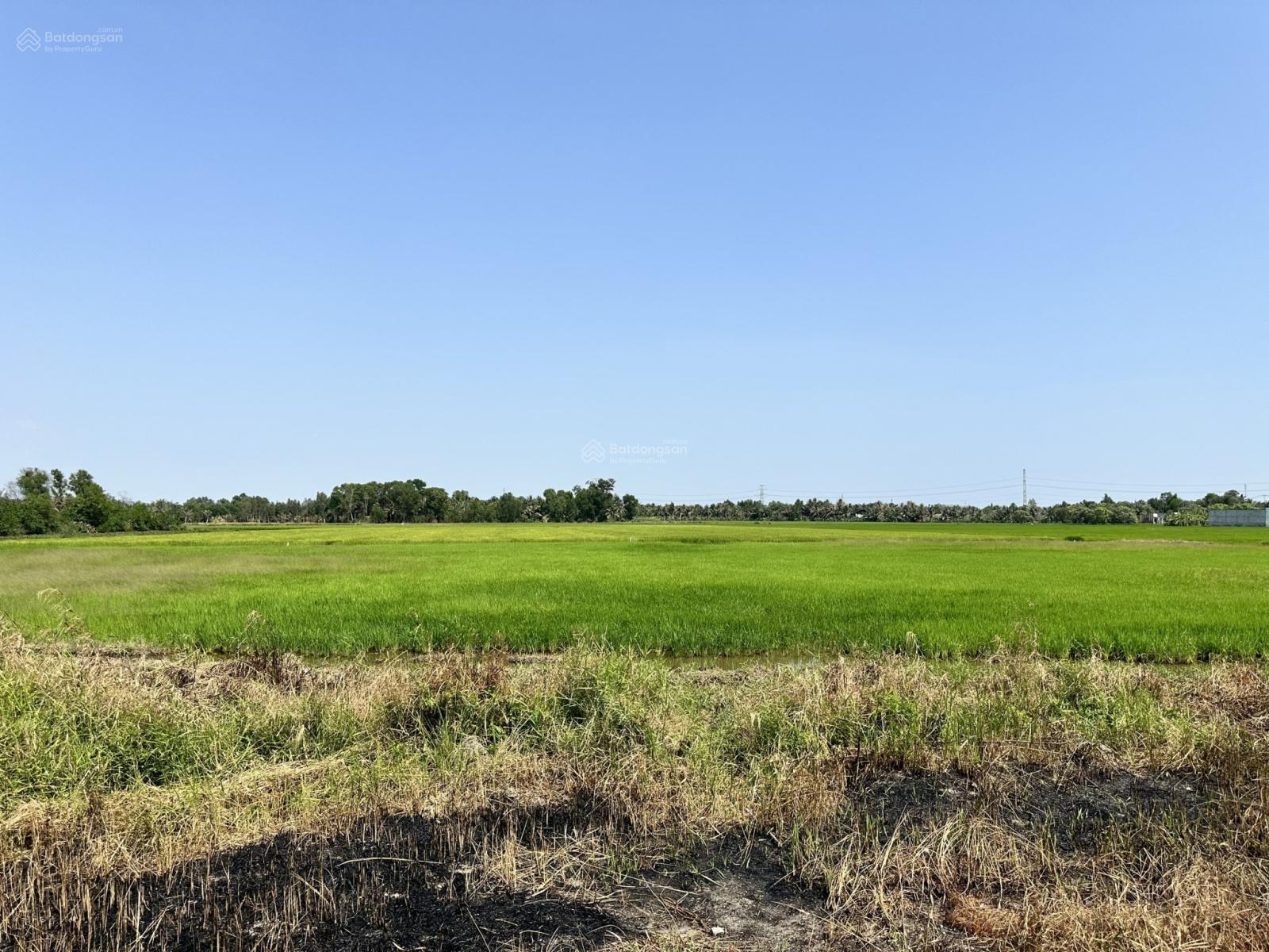 Bán đất Kênh 9, xã Tân Nhựt, Bình Chánh giá tốt (Võ Văn Kiệt nối dài)