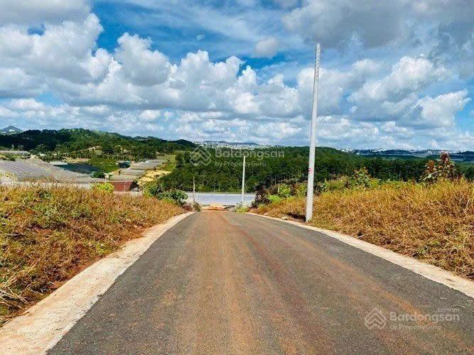 Đất biệt thự đường Măng Lin - P7 - TP Đà Lạt. DT: 200m2. View thông đẹp. Giá 5.5 tỷ