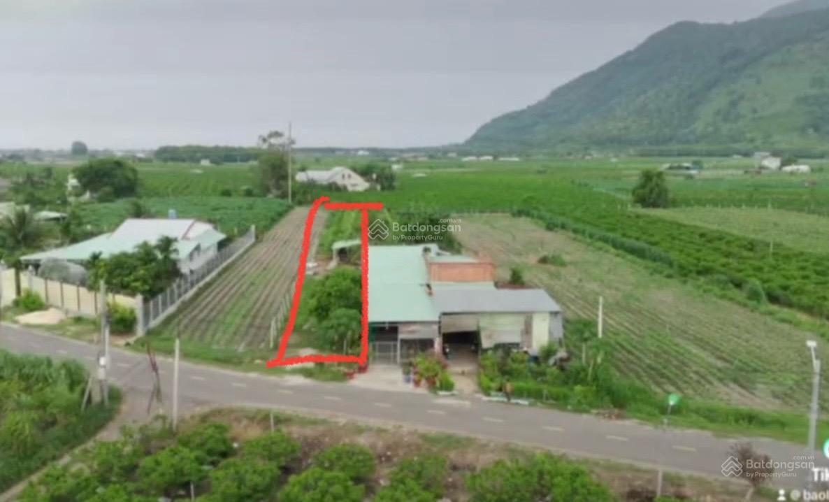 Cần bán đất thành phố Tây Ninh ngay khu du lịch đuờng nhựa 10m