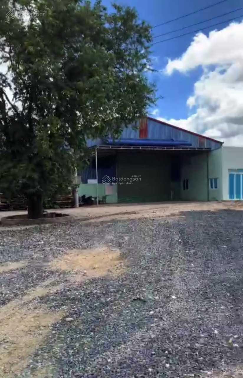 Bán đất có xưởng 3000m2, 600m2 TC mặt tiền Phú Mỹ Tóc Tiên. LH Tài 0707 004 ***