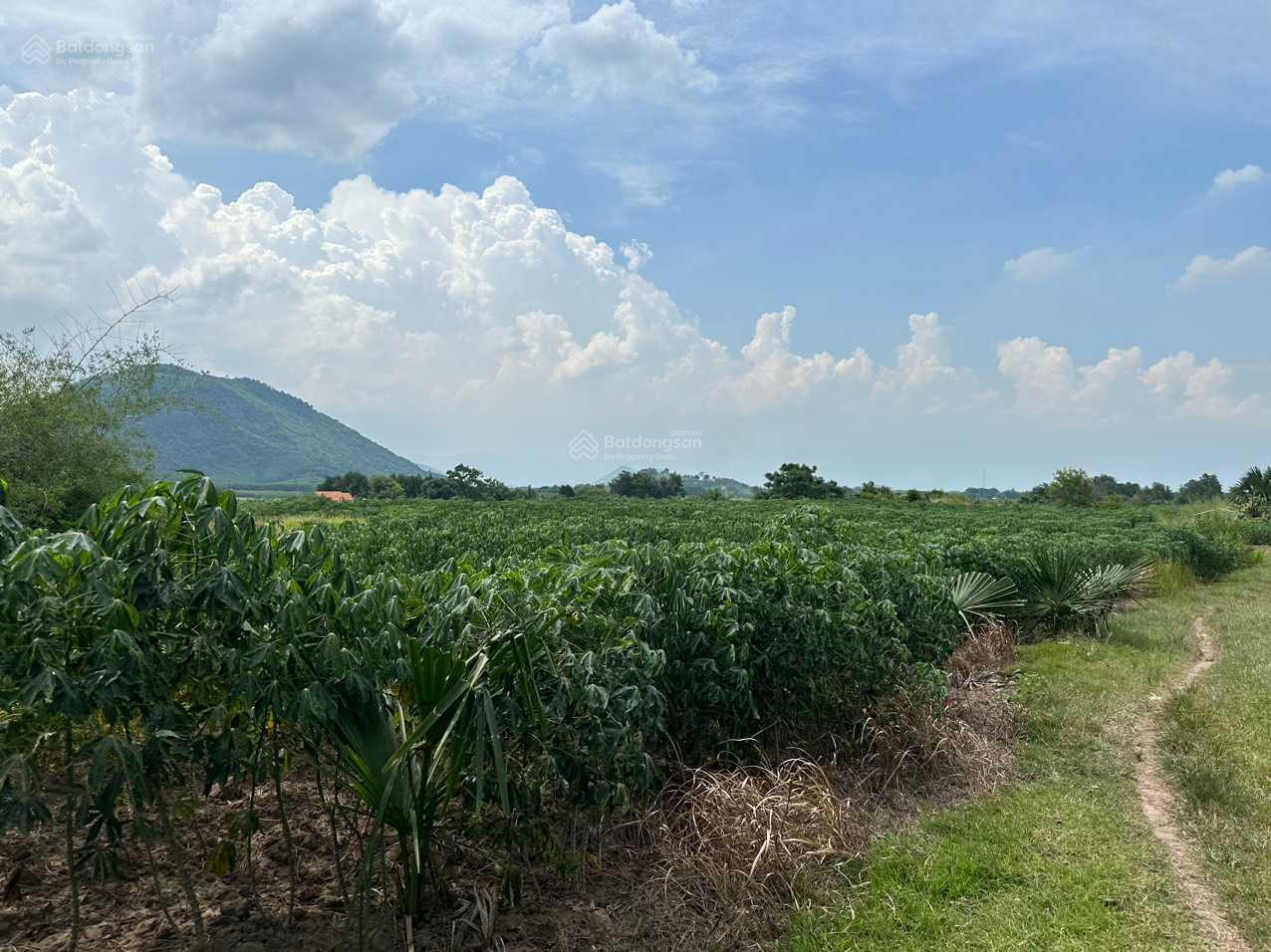 Chủ ngộp bán nhanh lô đất Thôn Suối Sâu Xã Ninh Tân Thị Xã Ninh Hòa