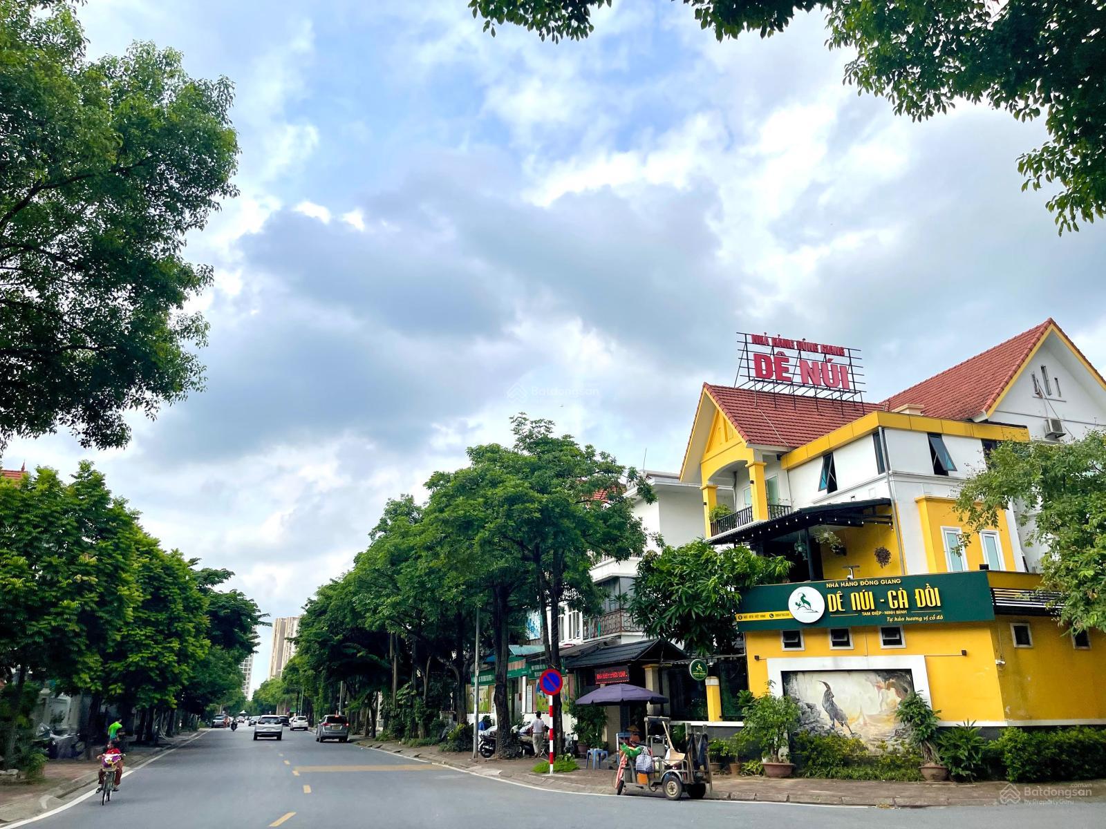 Mặt phố Bùi Thiện Ngộ, biệt thự đẳng cấp BT7 Việt Hưng, kinh doanh, dòng tiền, DT 190m2 - MT 20m