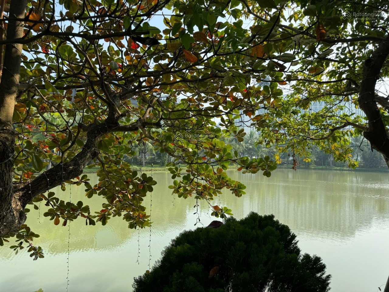 Bán đơn lập Bằng Lăng 02 - 07. ĐN, 495m2, nhà thô. Đất vuông, gần ngã ba sông rộng, giá 150 tỷ