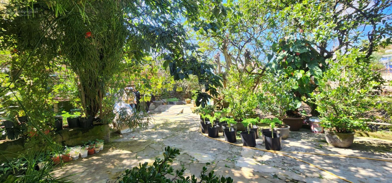 Đất hai mặt tiền đẹp phường Langbiang siêu thoáng 2162m2, 42 tỷ
