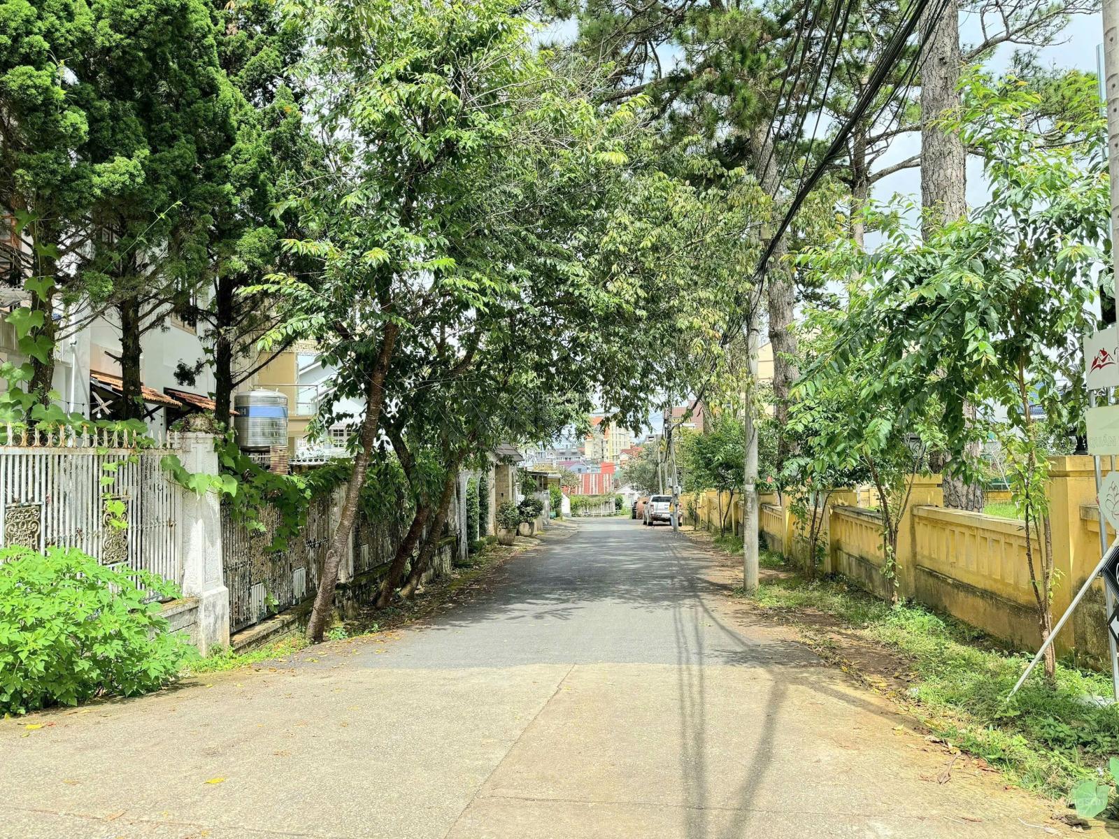 Bán villa đường Cô Giang - ngay khu biệt thự chỉnh chu bậc nhất Đà Lạt - cách trung tâm chỉ 1km