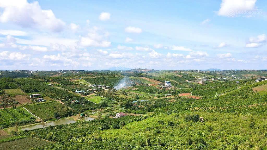 3011m2 đất QH thổ cư, đường 21 Lộc Tân, view đồi cao, rừng thông rất đẹp, giá tốt nhất khu vực 3011m2 đất QH thổ cư, đường 21 Lộc Tân, view đồi cao, rừng thông rất đẹp, giá tốt nhất khu vực