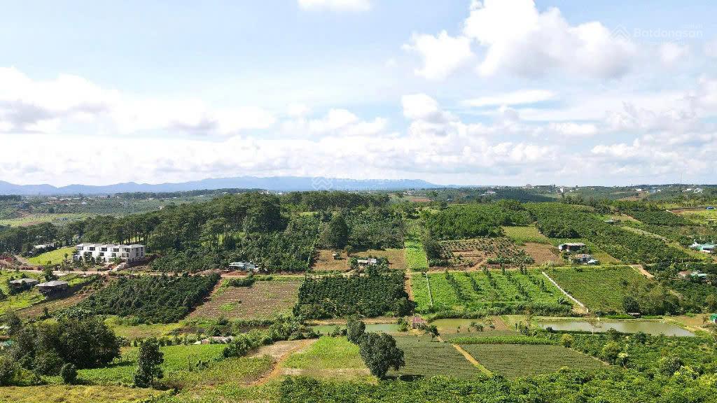 3011m2 đất QH thổ cư, đường 21 Lộc Tân, view đồi cao, rừng thông rất đẹp, giá tốt nhất khu vực 3011m2 đất QH thổ cư, đường 21 Lộc Tân, view đồi cao, rừng thông rất đẹp, giá tốt nhất khu vực