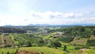 3011m2 đất QH thổ cư, đường 21 Lộc Tân, view đồi cao, rừng thông rất đẹp, giá tốt nhất khu vực