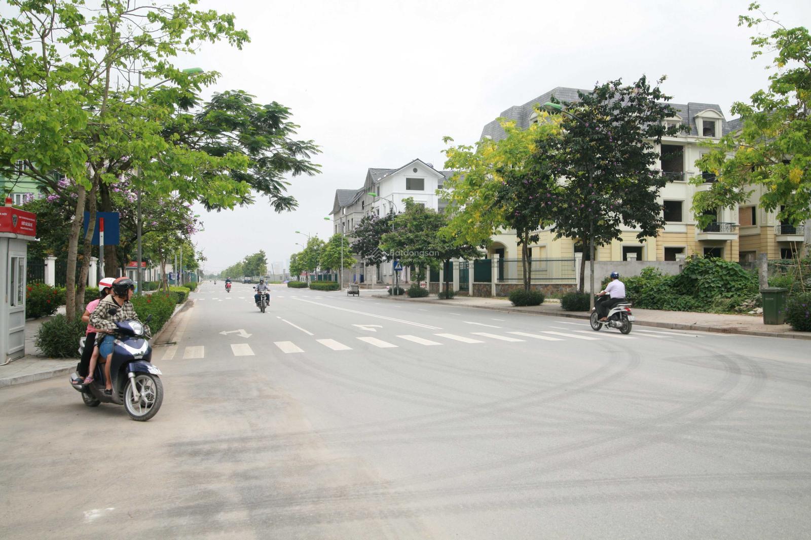 Bán gấp biệt thự An Vượng khu đô thị Dương Nội Nam Cường dt 180m2, mt 9m, giá rẻ