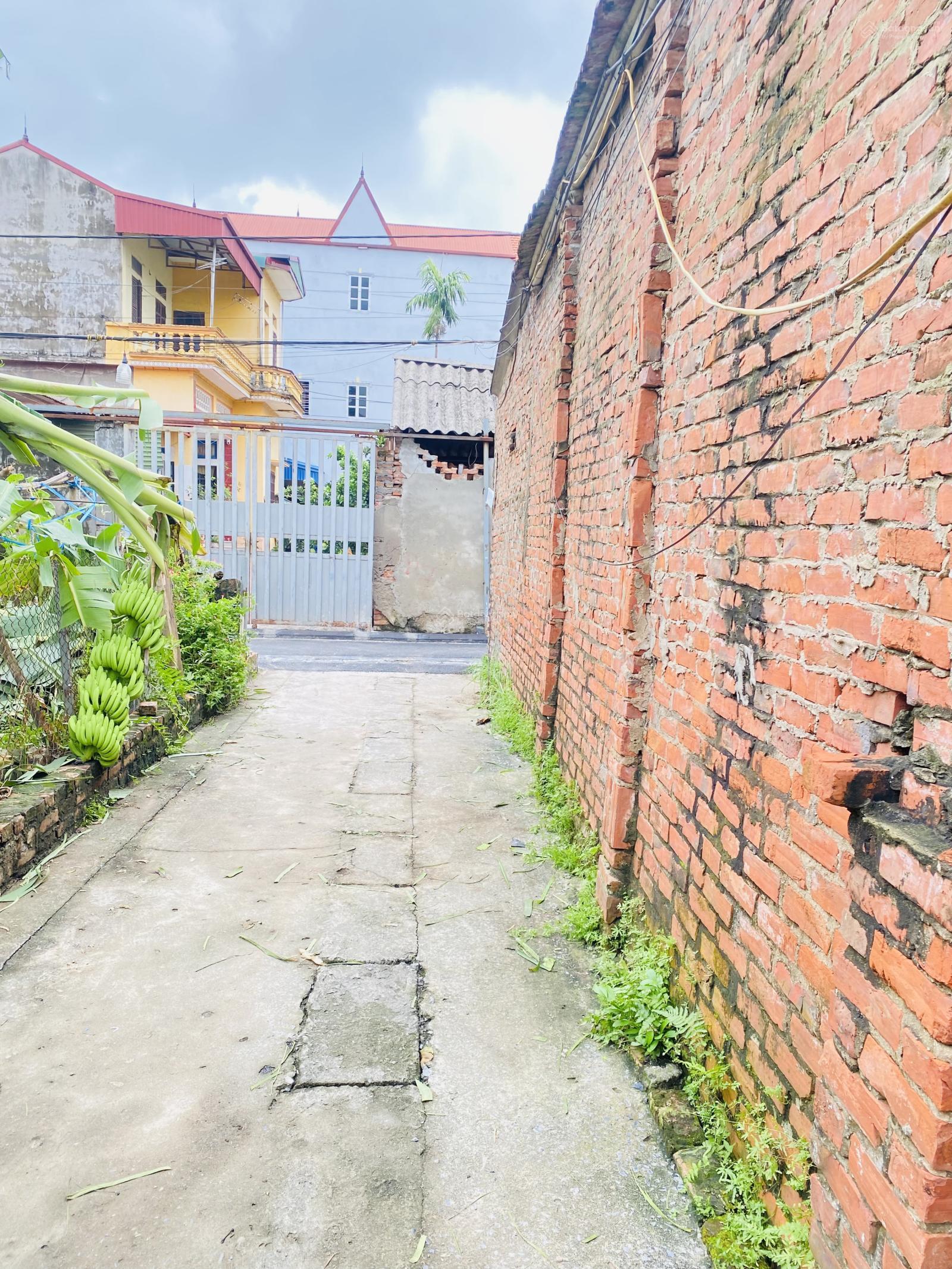 Chính chủ cần bán lô đất 40m2 tại Hải Bối, Đông Anh