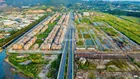 Chuyển nhượng FLC Tropical giá từ 12.5tr/m2. LH 0965 641 ***