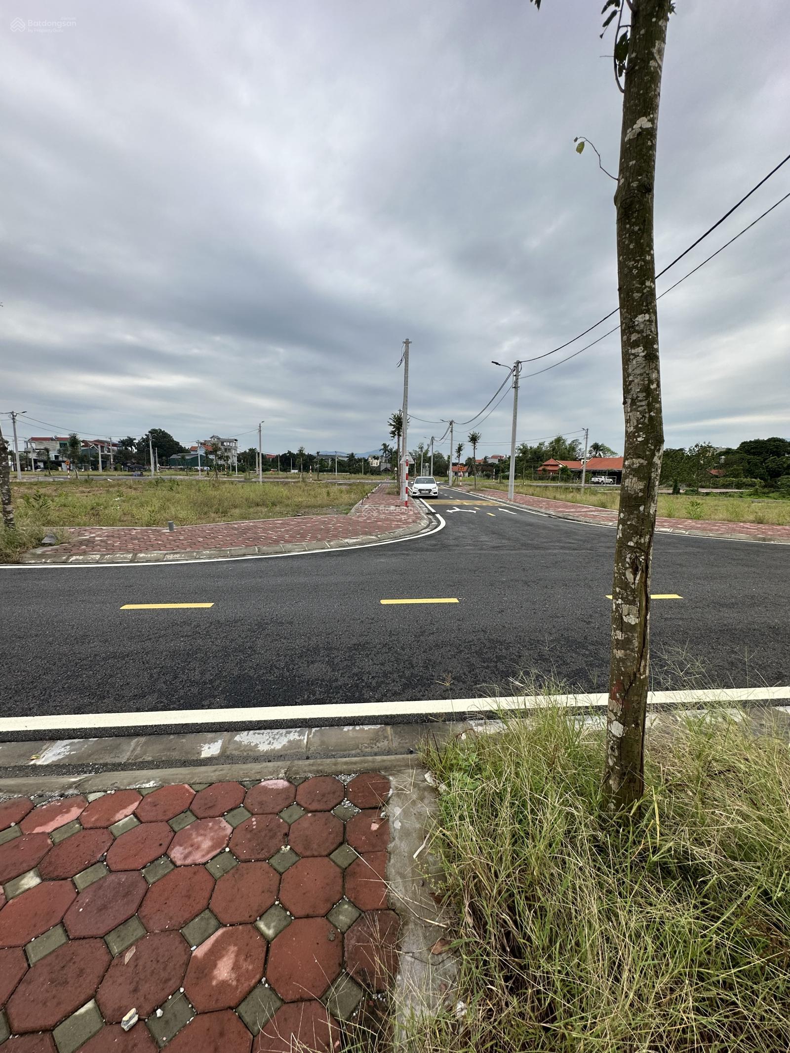 Em có mấy mảnh đất đấu giá khu Dộc Chanh Xã Trạch Mỹ Lộc bán ạ. Giá đẹp đầu tư cho quý khách hàng ạ