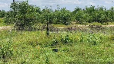 CC bán nền biệt thự 510m2 mặt tiền đường 25C Nguyễn Ái Quốc, đường cổng chính sân bay Long Thành