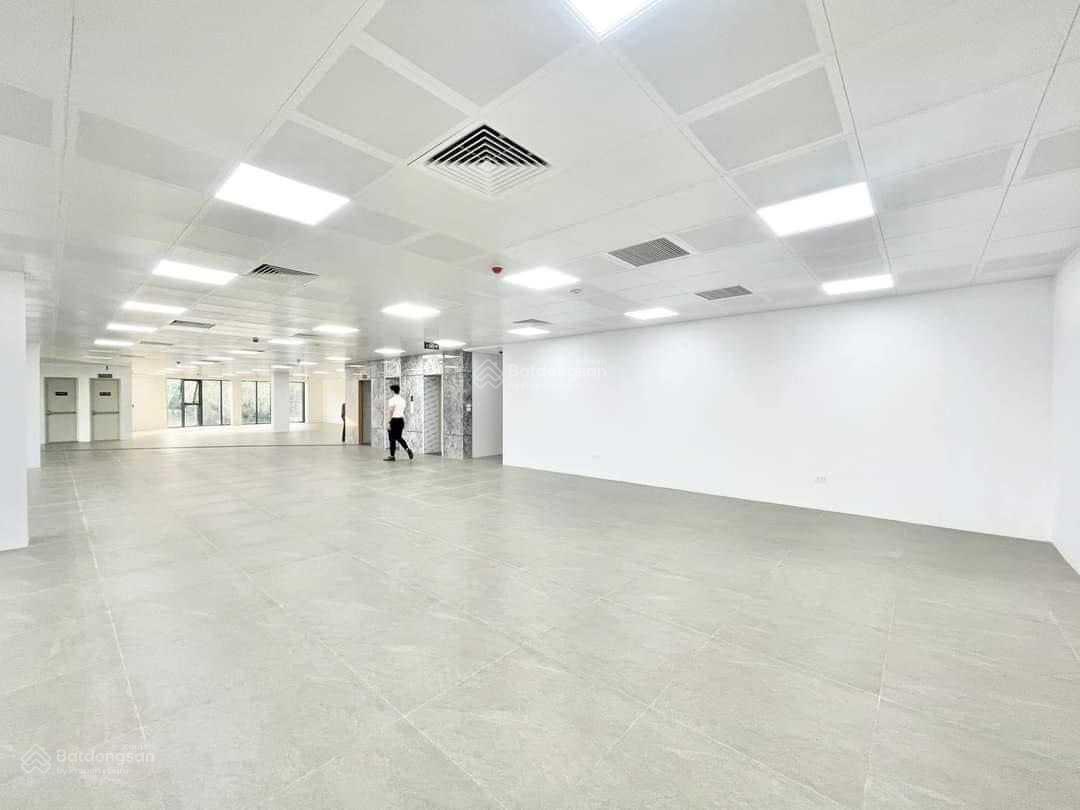 Cho thuê văn phòng mới đường Trần Nhật Duật, Tân Định. DT: 200m2, 260m2, 350m2