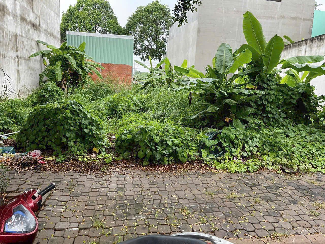 Chính chủ KDC Thanh Yến huyện Bến Lức TL832 đối diện KCN Nhựt Chánh sổ hồng riêng LH: 0937 583 ***