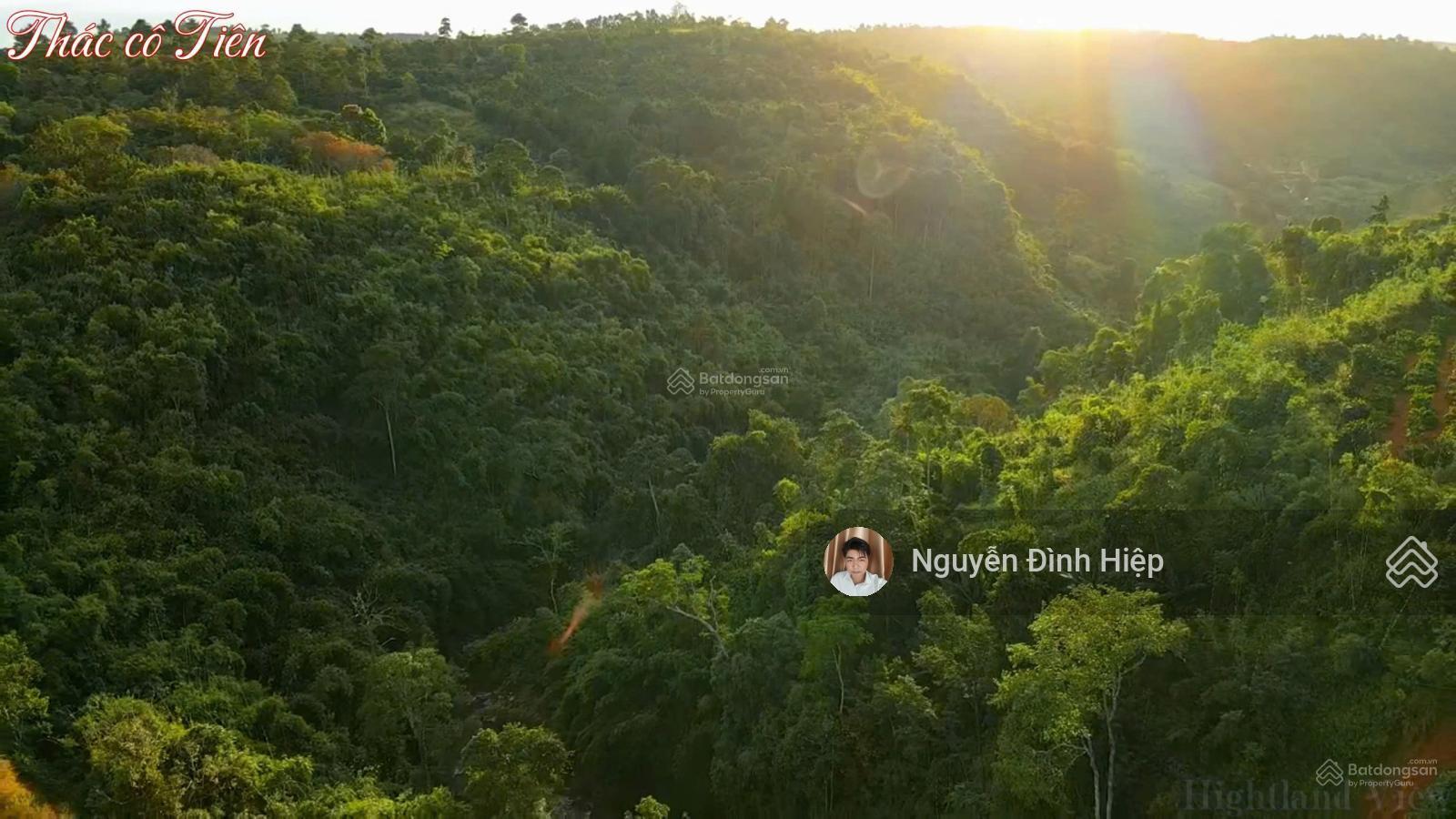 Bán đất view thác TP Gia Nghĩa, ĐăkNông, 2ha, 250m đường. Giá 6.5 tỷ Bán đất view thác TP Gia Nghĩa, ĐăkNông, 2ha, 250m đường. Giá 6.5 tỷ