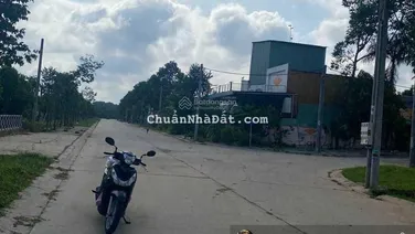 Tổng hợp giá bán đất nền Mỹ Phước 3. Tháng 6 năm 2025