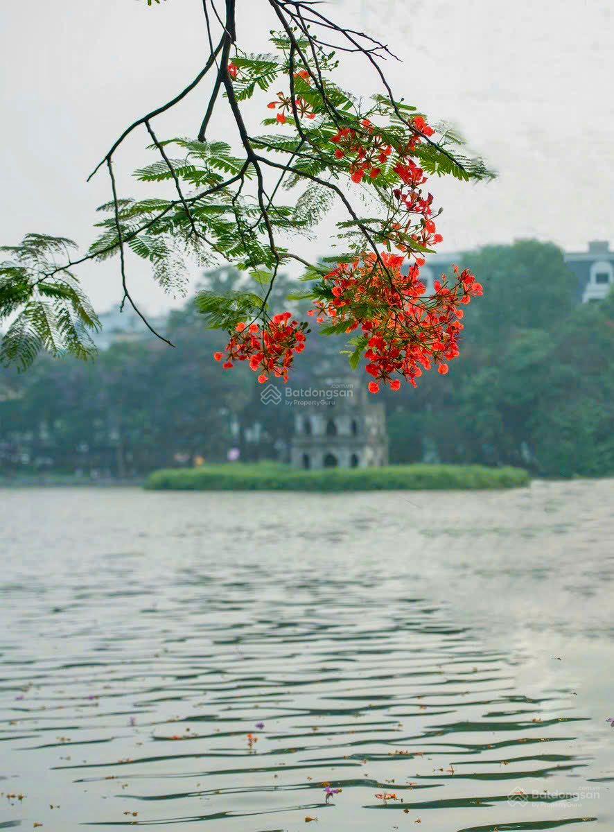 Cần Bán Nhà Mặt Phố Nguyễn Hữu Huân, Hoàn Kiếm. DT 70m2 x MT 4,5m. Vị trí đẹp nhất phố - Cạnh Lò Sũ