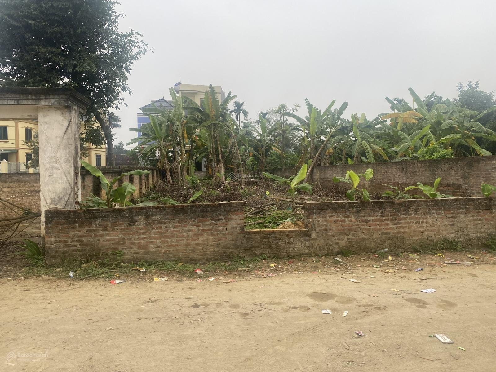 Siêu phẩm 300m2 trục chính thôn Miễu ngay cổng trường đại học Việt Nhật, giá hơn 30tr/m2