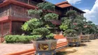 Bán khu nghỉ dưỡng tại Cần Thạnh, Cần Giờ, có vị trí vô cùng đẹp, nhà gỗ, hòn non bộ, khu cảnh quan