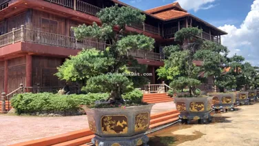 Bán khu nghỉ dưỡng tại Cần Thạnh, Cần Giờ, có vị trí vô cùng đẹp, nhà gỗ, hòn non bộ, khu cảnh quan